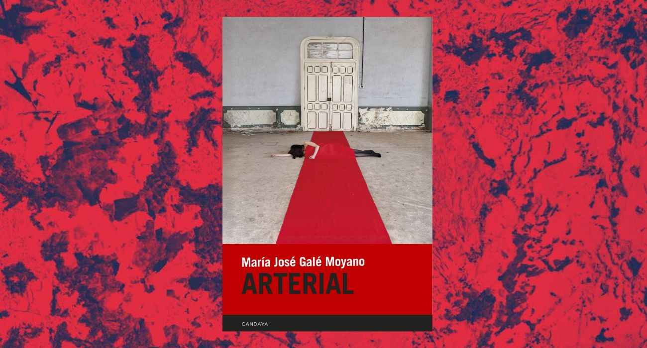 puede-una-noche-cambiar-tu-vida-la-historia-de-dos-desconocidos-unidos-por-el-dolor-y-un-hallazgo-insolito