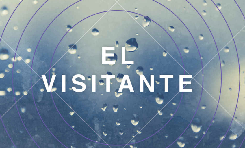 el-visitante-un-thriller-de-jon-vendon-altamente-recomendable