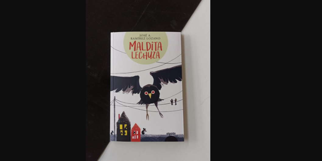 maldita-lechuza-una-entretenida-novela-juvenil