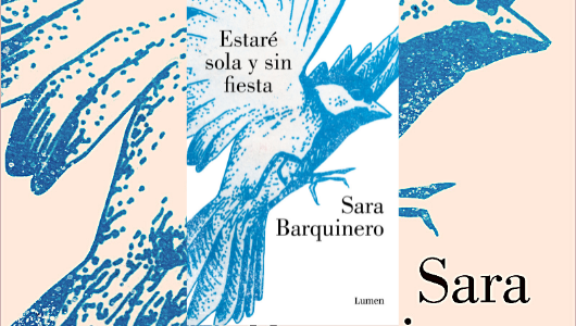 estare-sola-y-sin-fiesta-un-enigma-con-ecos-de-bolano-y-cortazar