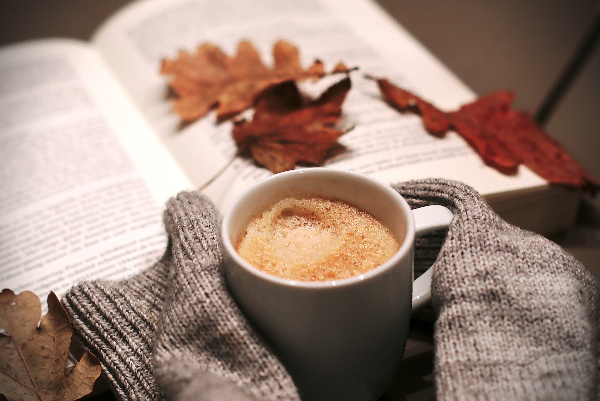 siete-libros-para-disfrutar-de-la-lectura-en-diciembre